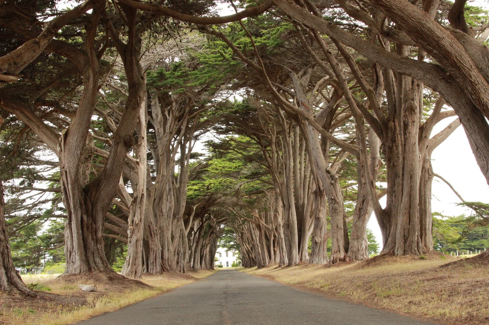 Why do I believe in Jesus?