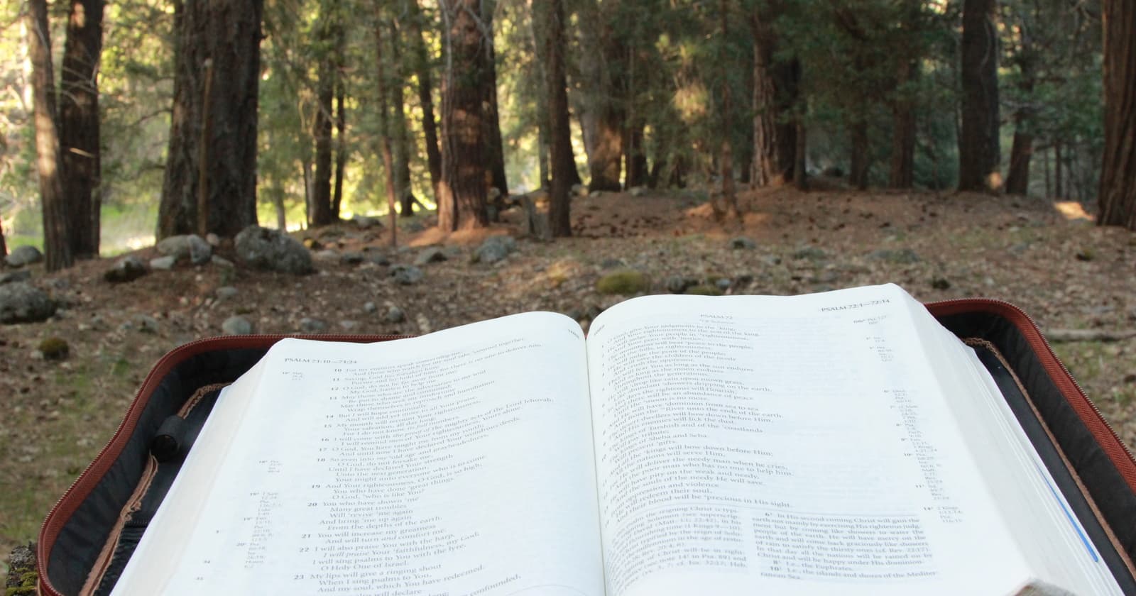 A Review of "How We Got The Bible"